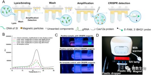在家自己做核酸檢測(cè) 蕭山公司創(chuàng)新產(chǎn)品引領(lǐng)便捷檢測(cè)新潮流，計(jì)算機(jī)軟硬件協(xié)同實(shí)現(xiàn)1小時(shí)快速檢測(cè)