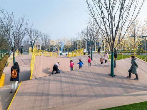 從設計到實景 公共環(huán)境園林景觀的全流程解析與行業(yè)交流平臺