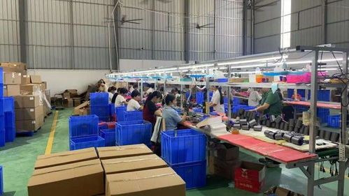 點(diǎn)贊！化州這個(gè)鎮(zhèn)“微工廠”遍地開花，留守婦女掙錢顧家兩不誤