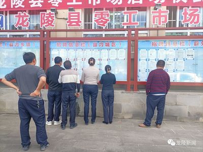 龍陵 多維度促進(jìn)就業(yè)創(chuàng)業(yè)，高質(zhì)量托穩(wěn)民生幸?！殬I(yè)中介服務(wù)的核心角色與創(chuàng)新實(shí)踐